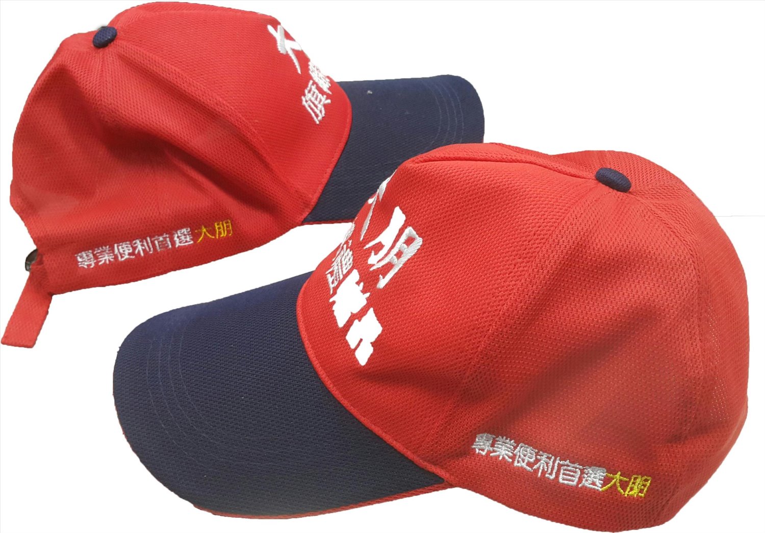 五片排汗網帽/廣告帽/活動帽 (內有多色)