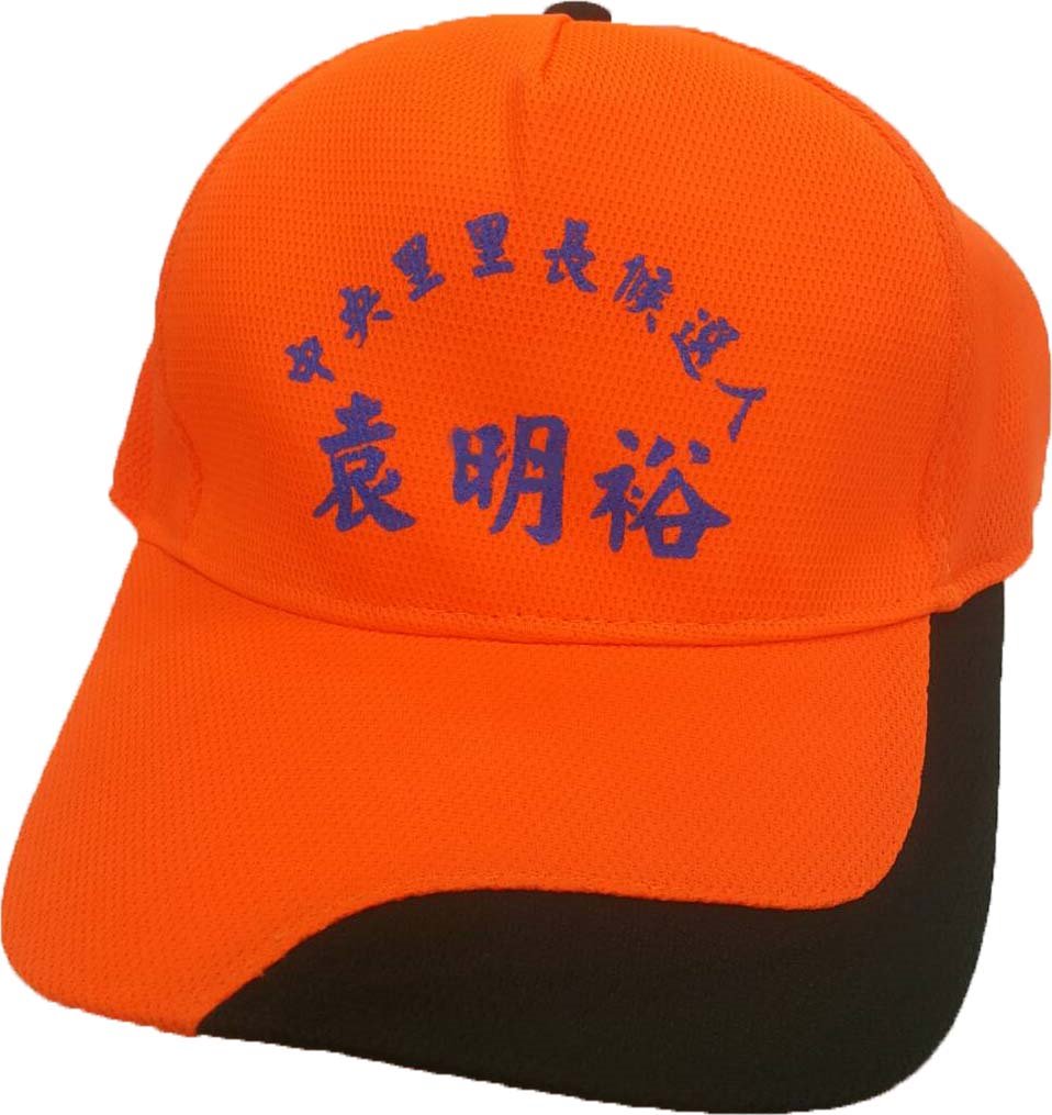 配色網帽/廣告帽/活動帽 (內有多色)