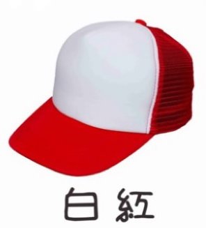 五片泡棉卡車帽/廣告帽/活動帽 (內有多色)