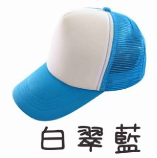 五片泡棉卡車帽/廣告帽/活動帽 (內有多色)