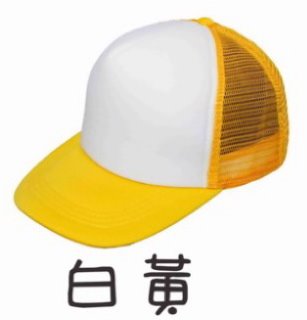五片泡棉卡車帽/廣告帽/活動帽 (內有多色)