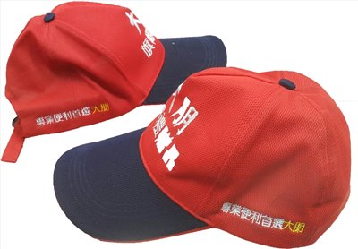 五片排汗網帽/廣告帽/活動帽 (內有多色)